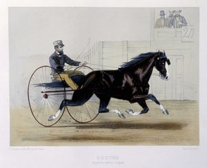 Dexter trotteur - “” Centaur” da by Unknown artist