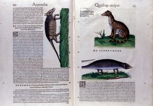 Conrad Gesner (1516 - 1565), Tiguri tarafından yazılan Historia Animalium