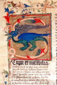14. yüzyıl el yazması Dragon Decoree Lettrine Detay by Unknown artist