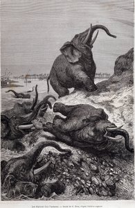 Sir Samuel White Baker tarafından görevlendirilen Orta Afrika seferi nedeniyle bir nehir kıyısına tırmanan filler, “Tour du monde” by Unknown artist
