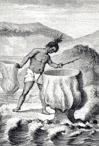 Neptün'ün Kadehi (Thalassema Neptune) adı verilen çeşitli süngerleri tasvir eden oyma by Unknown artist