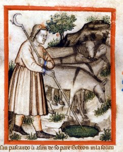 Esa eşekleri otlatıyor - Pentateuch. Codex 212