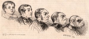 Bir çocuğun yetişkinliğe evrimi ve yetişkinin bir canavara dönüşmesi by Unknown