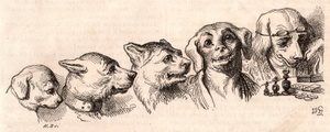 Bir köpeğin insan formuna evrimi by Unknown