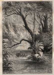 Alexander von Humboldt (1769-1859) ve Aime Bonpland (1773-1858) tarafından Amerika