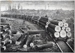 Amerika Birleşik Devletleri ormanlarının sömürülmesi. Ahşap raylı geçici demiryolları. Ağaç gövdeleri taşıyan vagonlar. “” La Nature” da gravür by Unknown artist