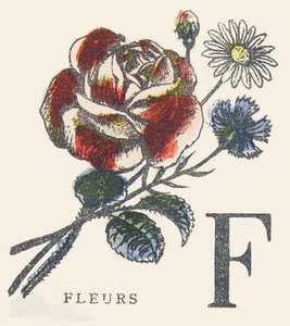 F: çiçekler by Unknown artist