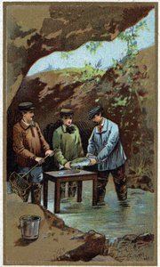 Balık yetiştiriciliği: suni döşeme. 19. yüzyılın sonundan itibaren kromolitografi by Unknown artist