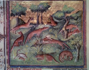 Tilki avcılığı kümes hayvanları. Gaston Phoebus (1331-1391) ve Gaston III Comte De Foix tarafından yazılan “Av Kitabı” (folio 34v) adlı el yazmasından minyatür by Unknown artist