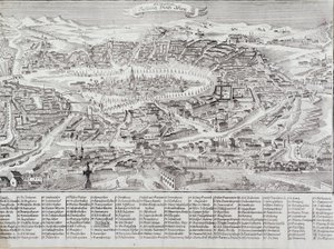 Ana bina ve anıtların detayları ile Viyana şehrinin genel görünümü. 1800 Özel Koleksiyondan Avusturya Gravürü by Unknown artist