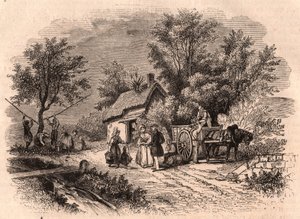 Normandiya, Fransa'da elma hasadı by Unknown