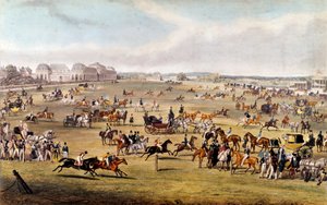 Orleans Dükü