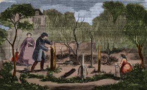 Bahçıvanlık: ana bitki nakli yöntemleri. 1860 gravür. by Unknown artist