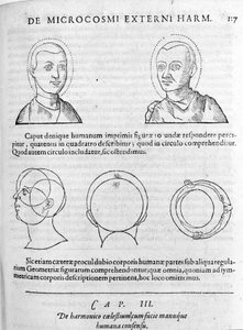 Robert Fludd (Robertus de Waves) tarafından "Collectio Operum"dan fizyonominin görüntüsü. Londra 1617 by Unknown artist