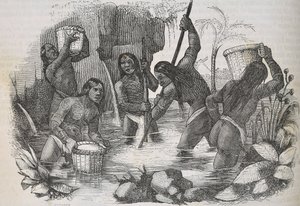 Hispaniola Adası