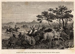 Yerli baris (Sudan nüfusu) Sör Baker