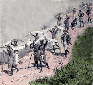 Fildişi ticareti: Kongolu gemilerin kervanı fil savunması taşır. 19. yüzyıl gravürü by Unknown artist