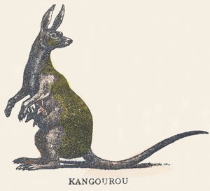 K: kanguru by Unknown artist