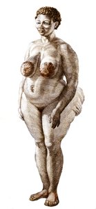 La Venus Hottentote, Bochiman (The Hottentot Venus,) cinsi kadın, 1815 gravürü. by Unknown artist
