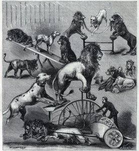Les lions elbiseler du Nouveau Cirque à Paris: aslanlar, terbiyeciler ve köpeklerle akrobatik bir sayının farklı hileleri. “La Nature”da gravür” 1890. Özel koleksiyon. by Unknown artist