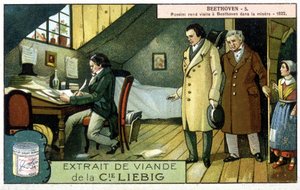 Liebig kromolitografisi by Unknown artist