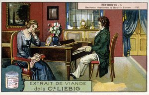 Liebig kromolitografisi by Unknown artist