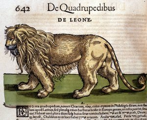 Conrad Gesner tarafından Historia Animalium