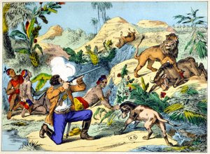 Güney Afrika