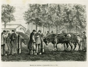 Leeuwarden