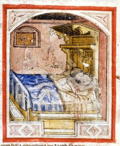 Çiftleşme sahnesi. Codex 212