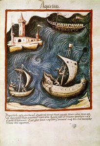 İlaç ticareti: “” tuzlu su”” “” Tacuinum sanitatis””ten alınan sayfa (Cod. ser. nov. 2644) Yaklaşık 1400 Viyana, Osterreischische Nationalbibliothek by Unknown artist