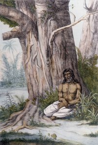 Bir ağacın dibinde meditasyon, Hindistan. by Unknown artist