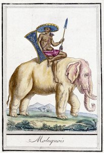 Bir filin üzerindeki Molucquois adam (Molucca Adaları, Endonezya). by Unknown artist