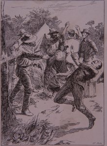 Ned Kelly, 1878