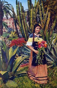 Nicoise. 1930 civarında bir kartpostal. Nice Belediye Arşivi. by Unknown Artist