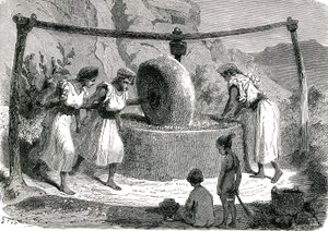 Cezayir'de zeytin öğütme değirmeni 1885 by Unknown artist