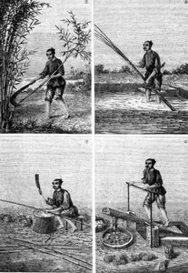 Louis Figuier, Paris tarafından “Les harikalar de l
