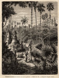 Laos