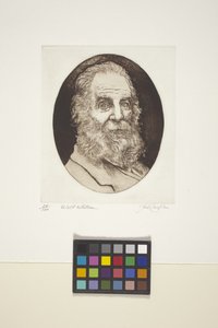 Walt Whitman'ın Portresi (mürekkep, baskı) by Unknown artist