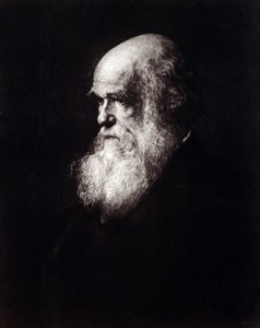 Charles Robert Darwin