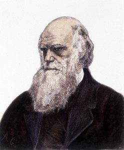 Charles Robert Darwin