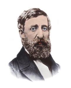 Henry David Thoreau