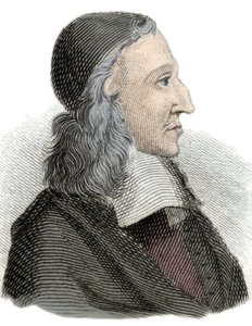 Johan de Witt