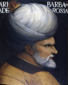 Cezayir Naipliği
