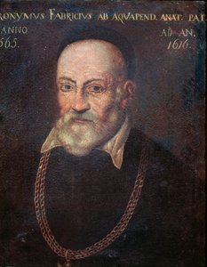 Öncü anatomist ve cerrah Hieronymus Fabricius