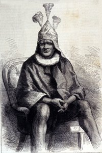 Zulu Kralı Cetshwayo