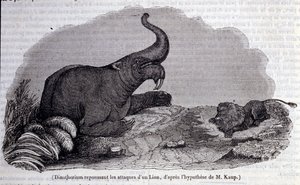 Tarihöncesi: bir aslanın saldırısını püskürten bir Dinotherium, dayanıklı deri türü temsili. 19. yüzyıl gravürü by Unknown artist