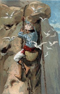 Salangan