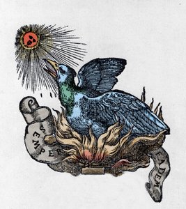 Küllerinden yeniden doğan efsanevi kuş Anka kuşu (veya anka kuşu) temsili. 19. yüzyıl gravürü by Unknown artist