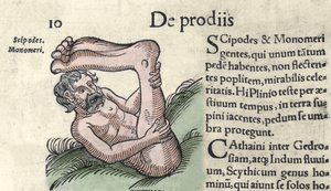 Bir Sciapod canavarının temsili Wolfhart (Conrad Lycostene) 1557